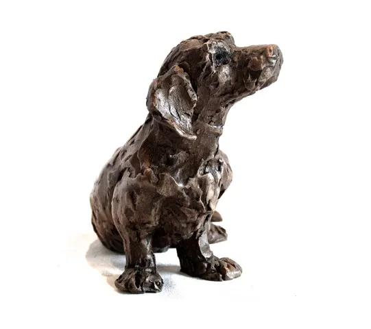 Laura Pentreath -Terrier